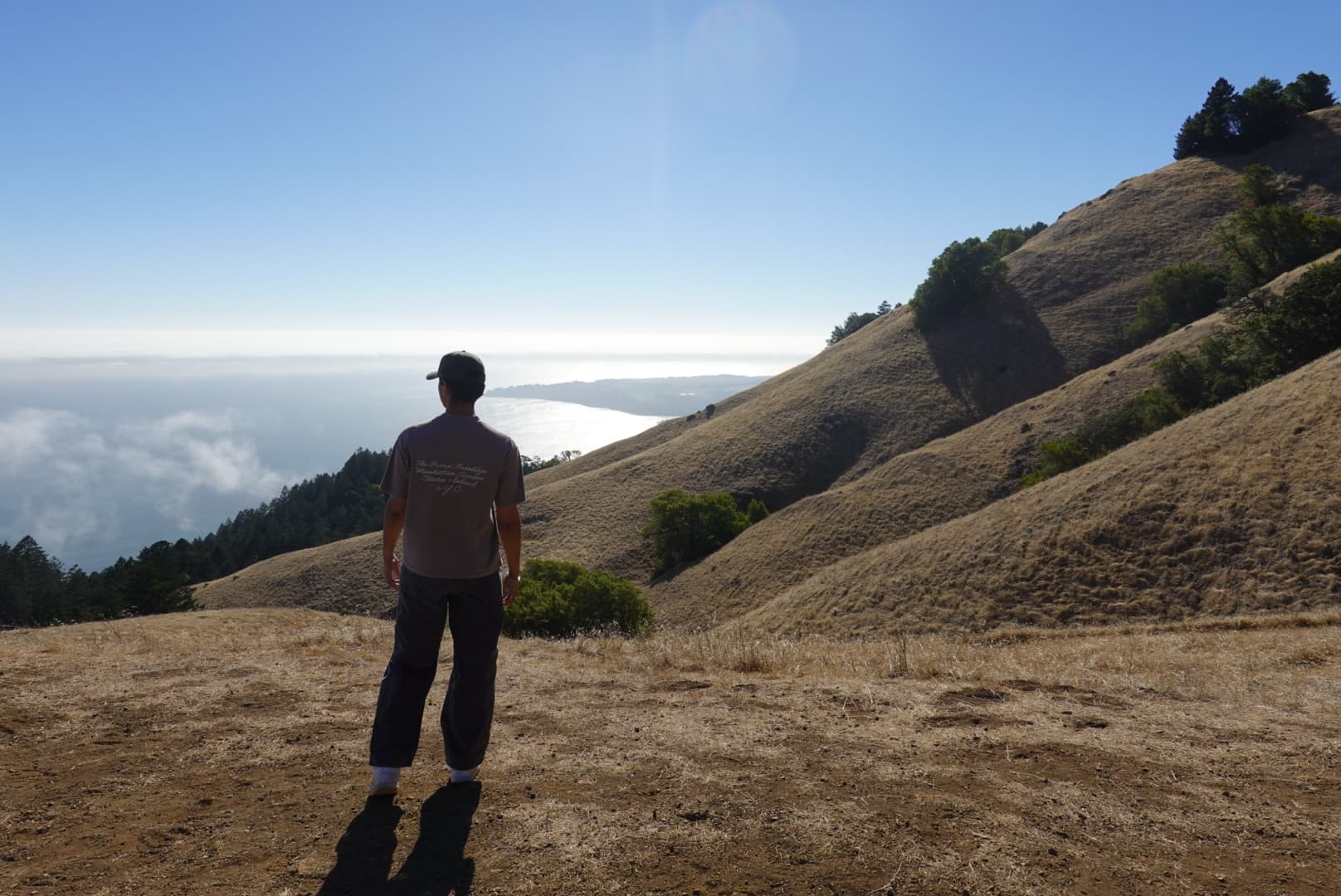 Aditya Jain looking out over a coastal hillside